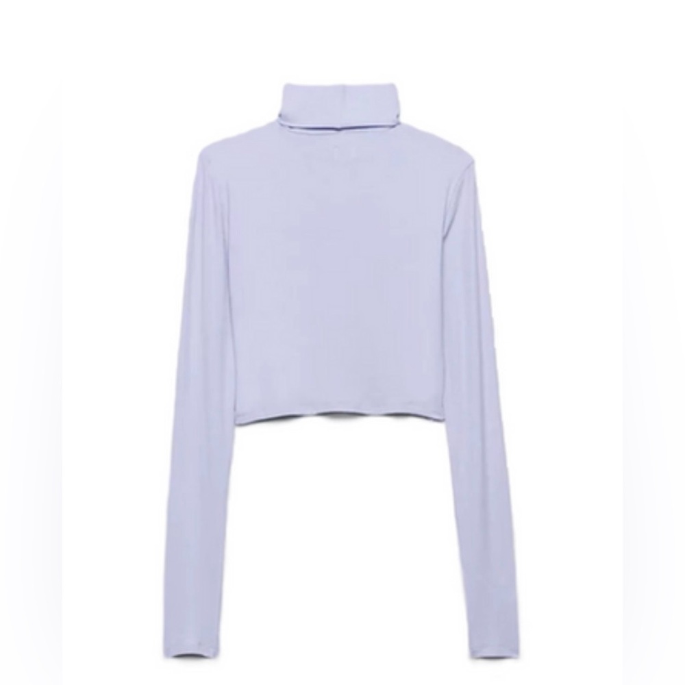 Aritzia Sunday Best Freshman Turtleneck